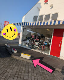 もうすぐ春ですね♪