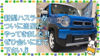 ついにハスラーが！！　八王子店へお急ぎ下さい!(^^)!