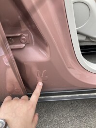 命を守るウサギさん