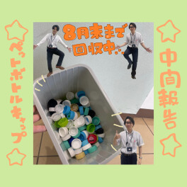 ペットボトルキャップ、中間発表～～～～～！！f