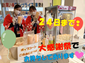 大感謝祭は２４日（日）まで！！