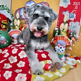 ☆明けましておめでとうございます☆