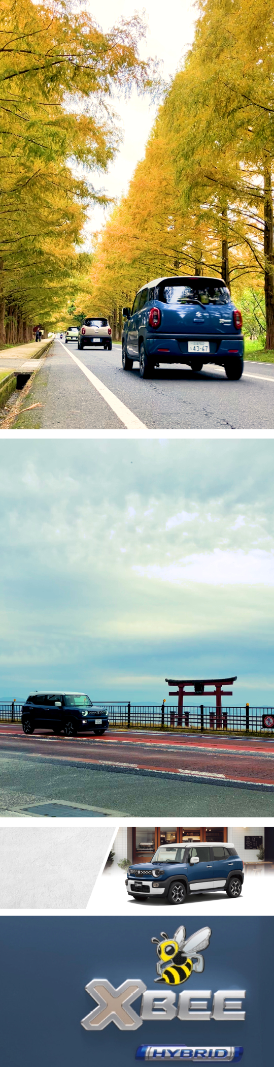 ミスティックブルーメタリックホワイト2トーンルーフ