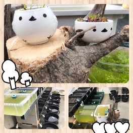 ササ活　メダ活④
