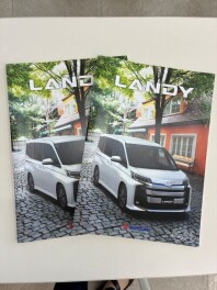 新しいＬＡＮＤＹ！！
