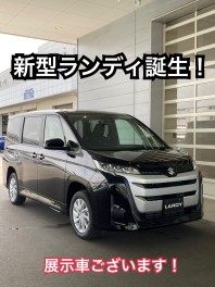 新型ランディ登場！！