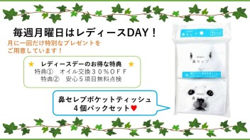 ３月１８日はプレゼント付きレディースデイです！！