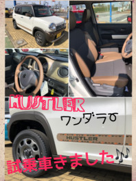 オトナ可愛すぎるハスラーワンダラー試乗車が入荷しました♪♪