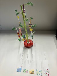 七夕～★★　願い事はありますか？