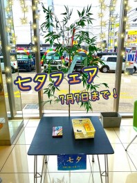 ＼　七夕フェア開催中　／