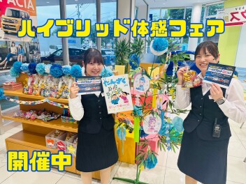☆ハイブリッド体感フェア開催中☆