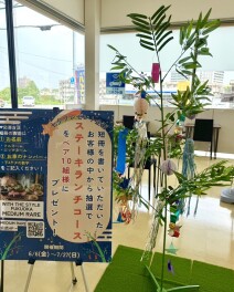 ☆彡七夕プレゼント企画のお知らせ☆彡