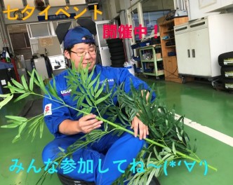 願いをこめて☆彡
