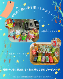 七夕イベント開催します☆彡