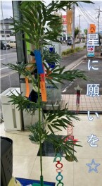 七夕の季節