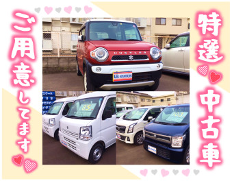 特選中古車もあります！