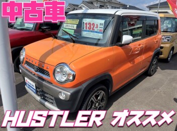 **中古車のハスラーが可愛すぎるぅ♡**