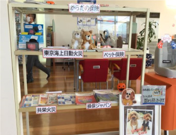 八女日記　「１０月１４日限定！ご相談会開催！」