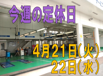 ※今週の定休日※