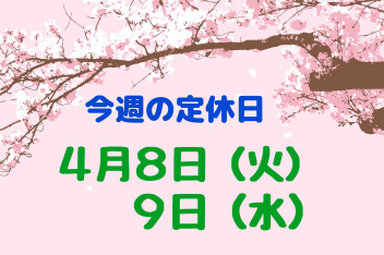 ※今週の定休日※