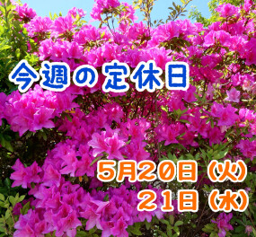 ※今週の定休日※