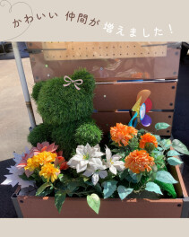 新しい仲間が増えました!!!