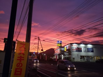 車両保険について考えてみませんか？