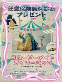 やってます！任意保険診断！！