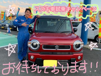 春の！試乗キャンペーン！！