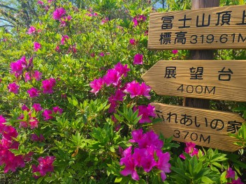 つつじの名所♪冨士山公園