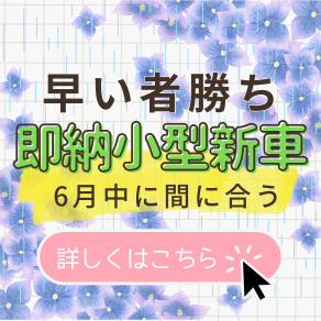 即納6月