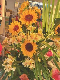 今年の夏も盛りだくさん！☆
