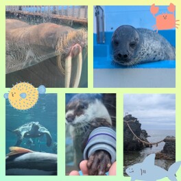 和田です！　わーちゃんです⑤