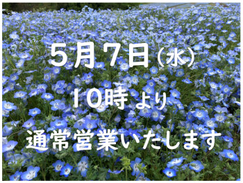 ✿営業再開のお知らせ✿