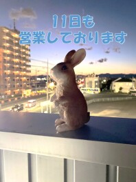 とことんやっていきます！＼\٩( 'ω' )و //／