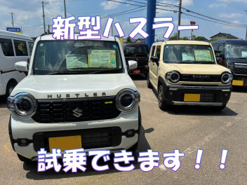 週末は砺波店へ！新型ハスラー試乗できます