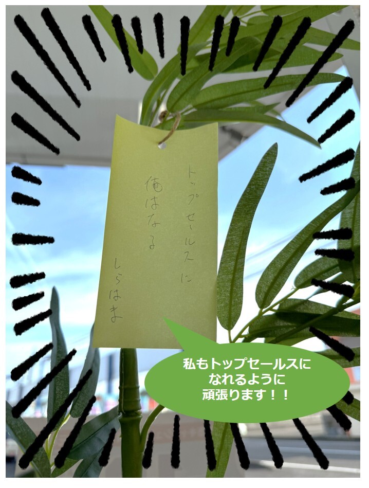 短冊