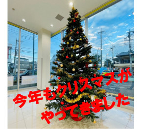 八王子店が今年もクリスマス仕様になりました‼