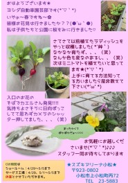 園芸部活動★4月