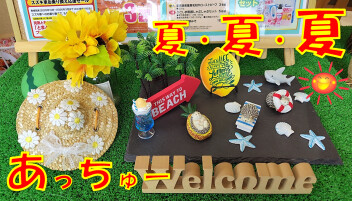 夏・夏・夏