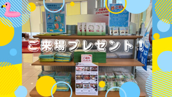 ハイブリッドフェア開催中！