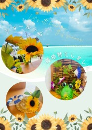 ショールーム模様替えしました♪