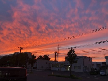 はじめてのオンライン研修です