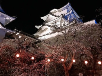 お花見の時期です。