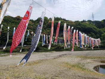 大川地区の「鯉のぼり川渡し」