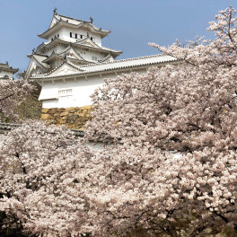 ４月になりましたね♪