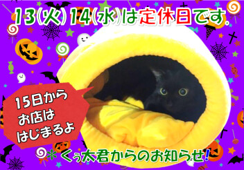 定休日のお知らせ！