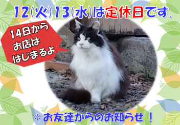 定休日のおしらせ！