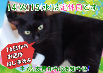 定休日のお知らせ！