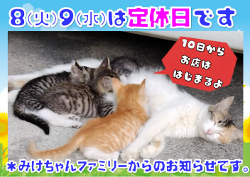 定休日のお知らせ！